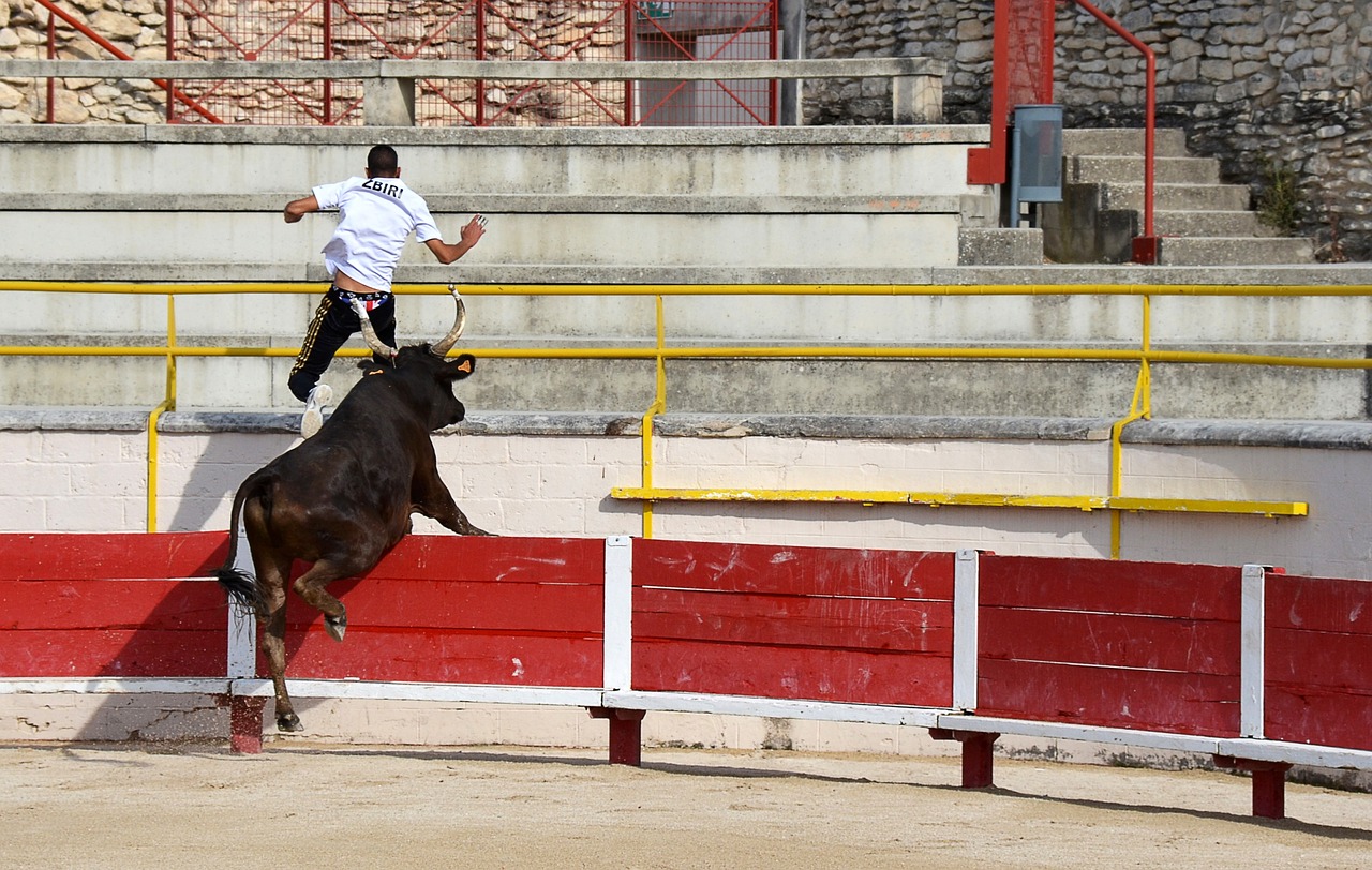 交锋中