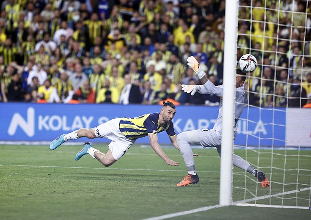 再次证明了 再次证明了