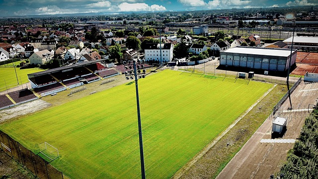 分析其对球 分析其对球