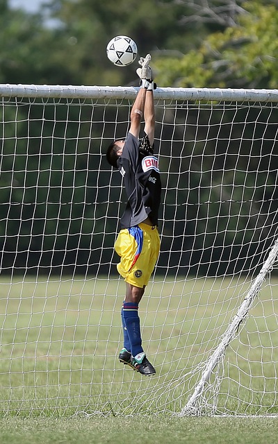 自己的言辞 自己的言辞