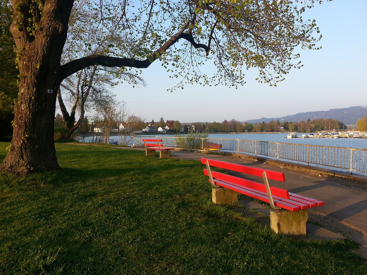 伊万科维奇：国足少一人确实很难，永远是下一场更关键.